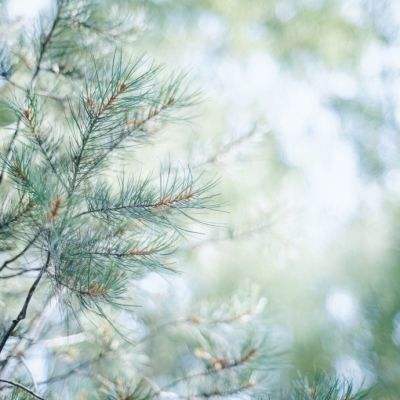 leyu手机版登录入口官网