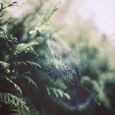 Kaiyun(云开)体育App